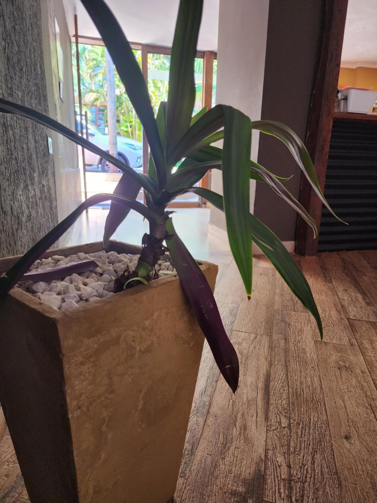 Hotel Bl Puerto Iguazú Dış mekan fotoğraf